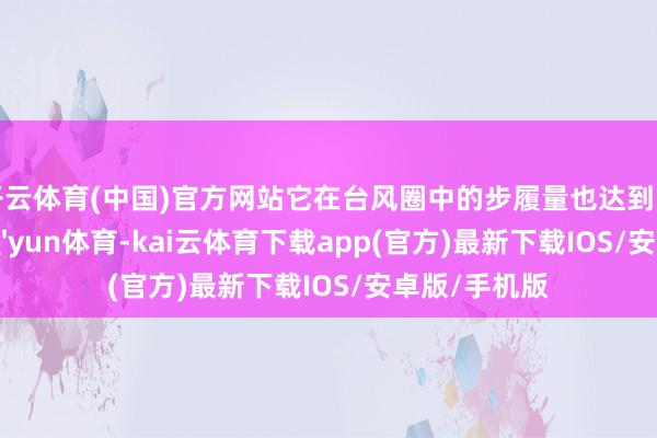开云体育(中国)官方网站它在台风圈中的步履量也达到了最低值-kai'yun体育-kai云体育下载app(官方)最新下载IOS/安卓版/手机版