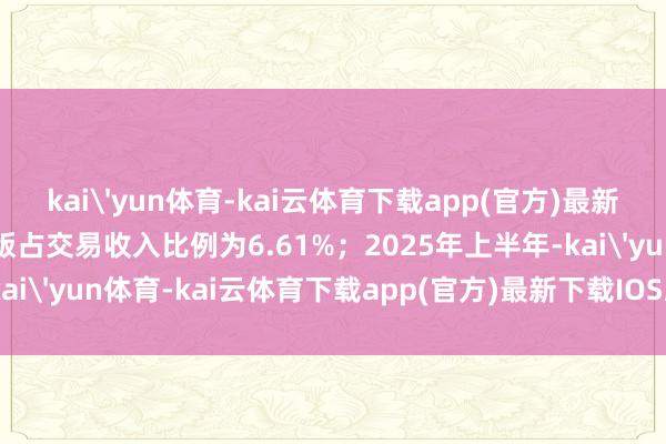 kai'yun体育-kai云体育下载app(官方)最新下载IOS/安卓版/手机版占交易收入比例为6.61%；2025年上半年-kai'yun体育-kai云体育下载app(官方)最新下载IOS/安卓版/手机版